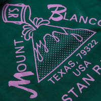 Stan Ray Mount Blanco Hoodie in Botanical Green thumbnail