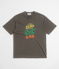 Stan Ray Ray Vine T-Shirt in Washed Black