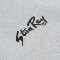 Stan Ray Stan OG Full Zip Hoodie in Grey Heather thumbnail