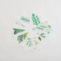 Studio Arhoj Botanica A5 Art Prints in Pack of 10 thumbnail