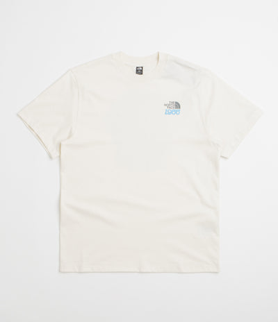 The North Face 1996 Flora Relaxed T-Shirt in White Dune
