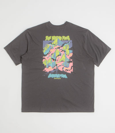 The North Face Expedition Celebration Oversized T-Shirt in Anthracite Grey