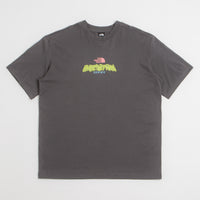 The North Face Expedition Celebration Oversized T-Shirt in Anthracite Grey thumbnail