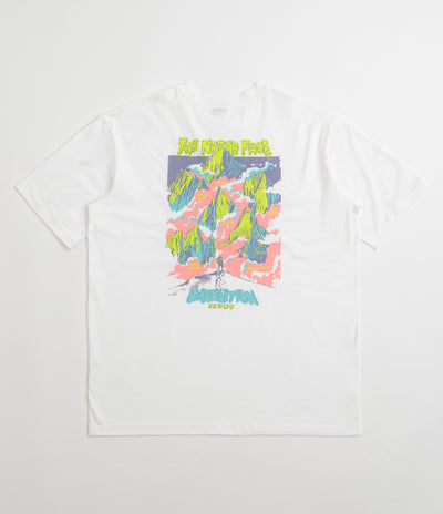 The North Face Expedition Celebration Oversized T-Shirt in TNF White
