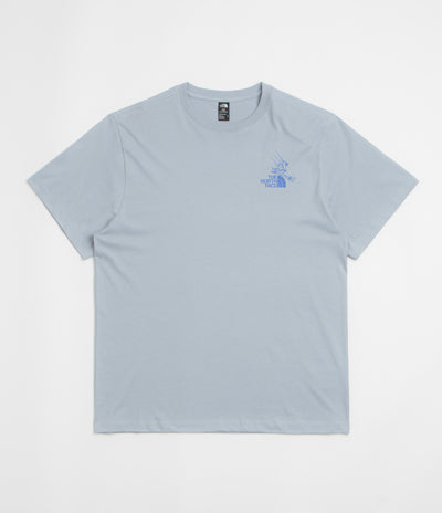 The North Face Mountain Celebration T-Shirt in Frost Grey