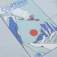 The North Face Mountain Celebration T-Shirt in Frost Grey thumbnail