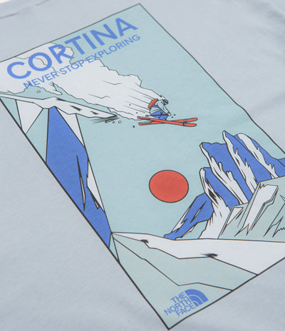 The North Face Mountain Celebration T-Shirt in Frost Grey