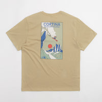 The North Face Mountain Celebration T-Shirt in Khaki Stone thumbnail