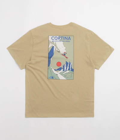The North Face Mountain Celebration T-Shirt in Khaki Stone