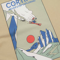 The North Face Mountain Celebration T-Shirt in Khaki Stone thumbnail