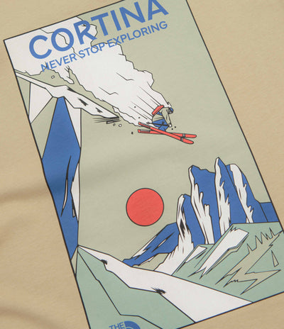 The North Face Mountain Celebration T-Shirt in Khaki Stone