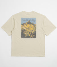 The North Face Plant And Flora Oversized T-Shirt in Desert Stone