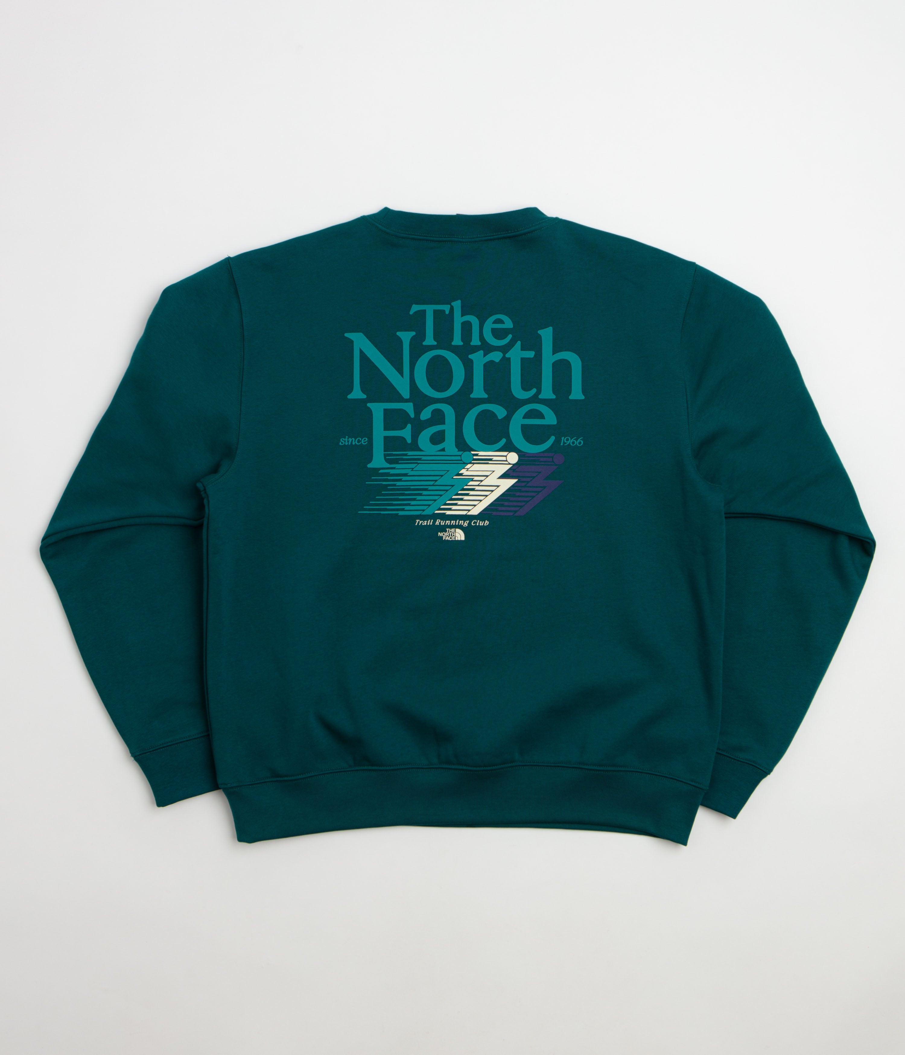 The North Face Retro Trail Relaxed Crewneck Sweatshirt in Pacific Teal