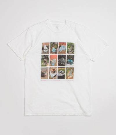 The Quiet Life Frog Friends Pigment Dye T-Shirt - White