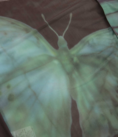 Yardsale Butterfly Mesh Long Sleeve T-Shirt - Black