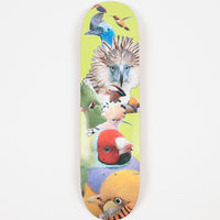 Alltimers Birds Deck - 8.5" - Yellow thumbnail