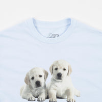 Bronze 56K Puppies T-Shirt - Powder Blue thumbnail