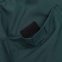 Carhartt Chase Swim Trunks - Botanic / Gold thumbnail