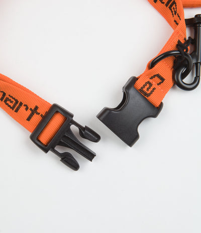 Carhartt Script Dog Leash & Collar in Carhartt Orange and Black
