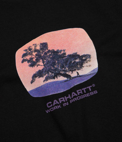 Carhartt Seeds T-Shirt - Black