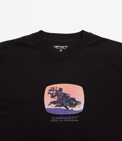 Carhartt Seeds T-Shirt - Black