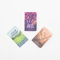 Field Notes National Parks Memo Books (3 Pack) - Grand Canyon / Joshua Tree / Mount Rainier thumbnail