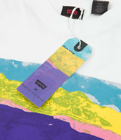 Levi's® Skate Graphic Box Long Sleeve T-Shirt - Painted Landscape / White