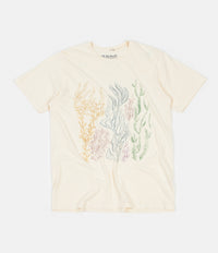 Mollusk Kalifornia Kelp T-Shirt - All Natural