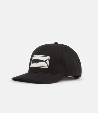 Mollusk Whale Patch Cap - Black