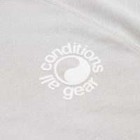 Nike ACG Dri-FIT Fleece Short Sleeve Crewneck Sweatshirt - Light Iron Ore / Summit White thumbnail