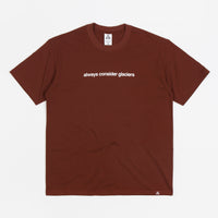 Nike ACG Glacier T-Shirt in Oxen Brown thumbnail