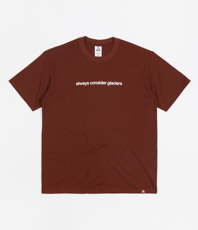 Nike ACG Glacier T-Shirt in Oxen Brown