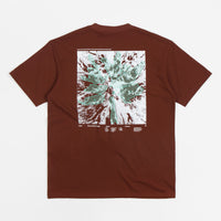 Nike ACG Glacier T-Shirt in Oxen Brown thumbnail