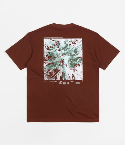 Nike ACG Glacier T-Shirt in Oxen Brown