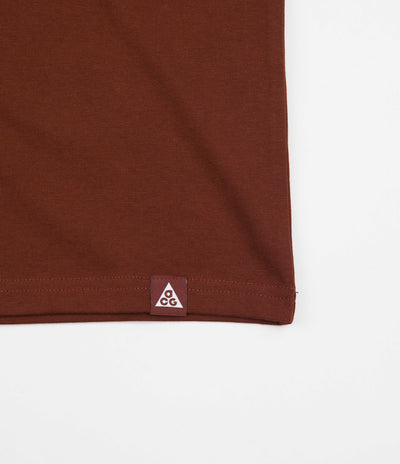 Nike ACG Glacier T-Shirt in Oxen Brown