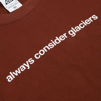 Nike ACG Glacier T-Shirt in Oxen Brown thumbnail