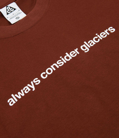 Nike ACG Glacier T-Shirt in Oxen Brown