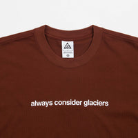 Nike ACG Glacier T-Shirt in Oxen Brown thumbnail