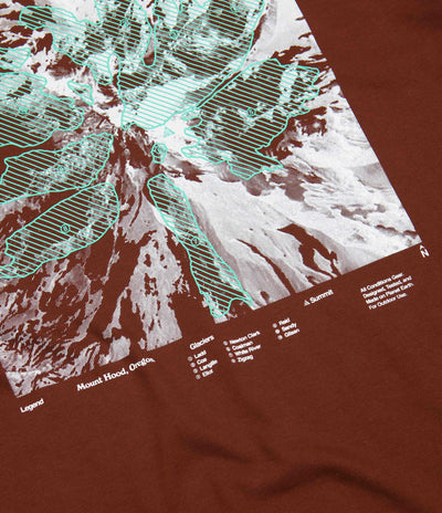Nike ACG Glacier T-Shirt in Oxen Brown