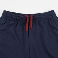 Nike SB Court Fleece Shorts - Midnight Navy / Gym Red thumbnail