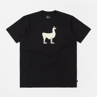 Nike SB Paul T-Shirt - Black thumbnail