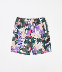 Nike SB Sunday Shorts - Fossil / Black