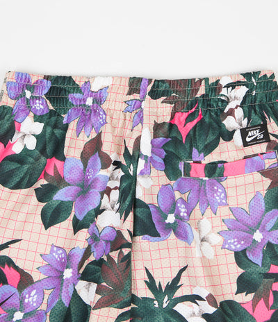 Nike SB Sunday Shorts - Fossil / Black