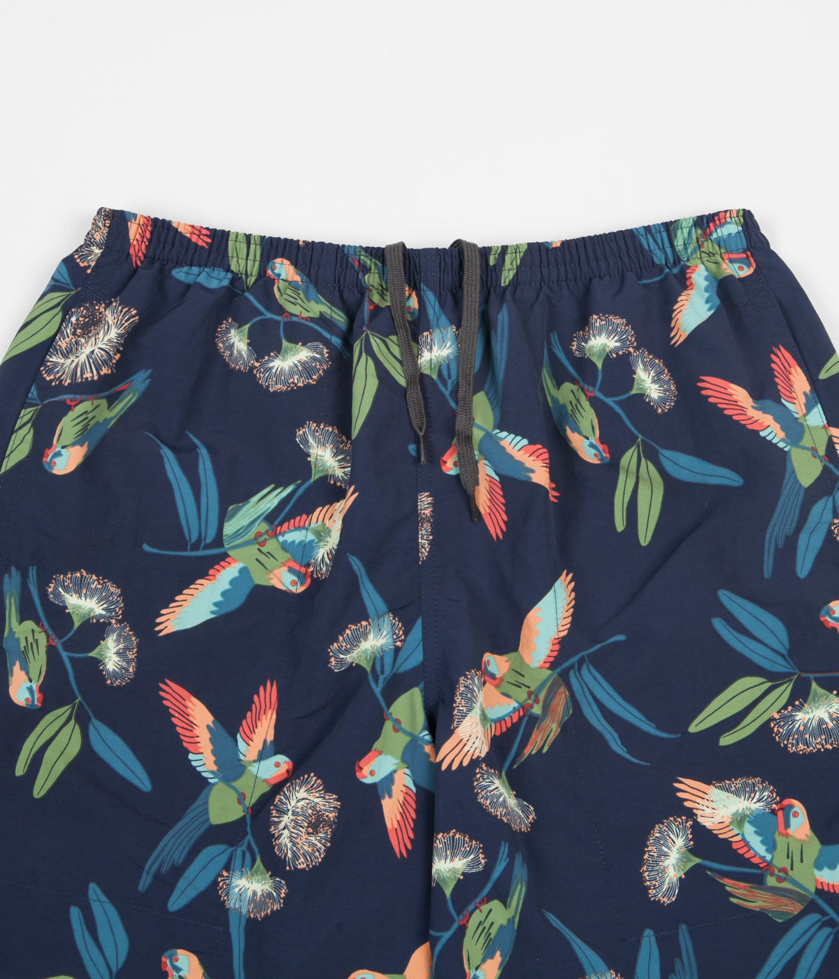 Patagonia parrot shorts on sale