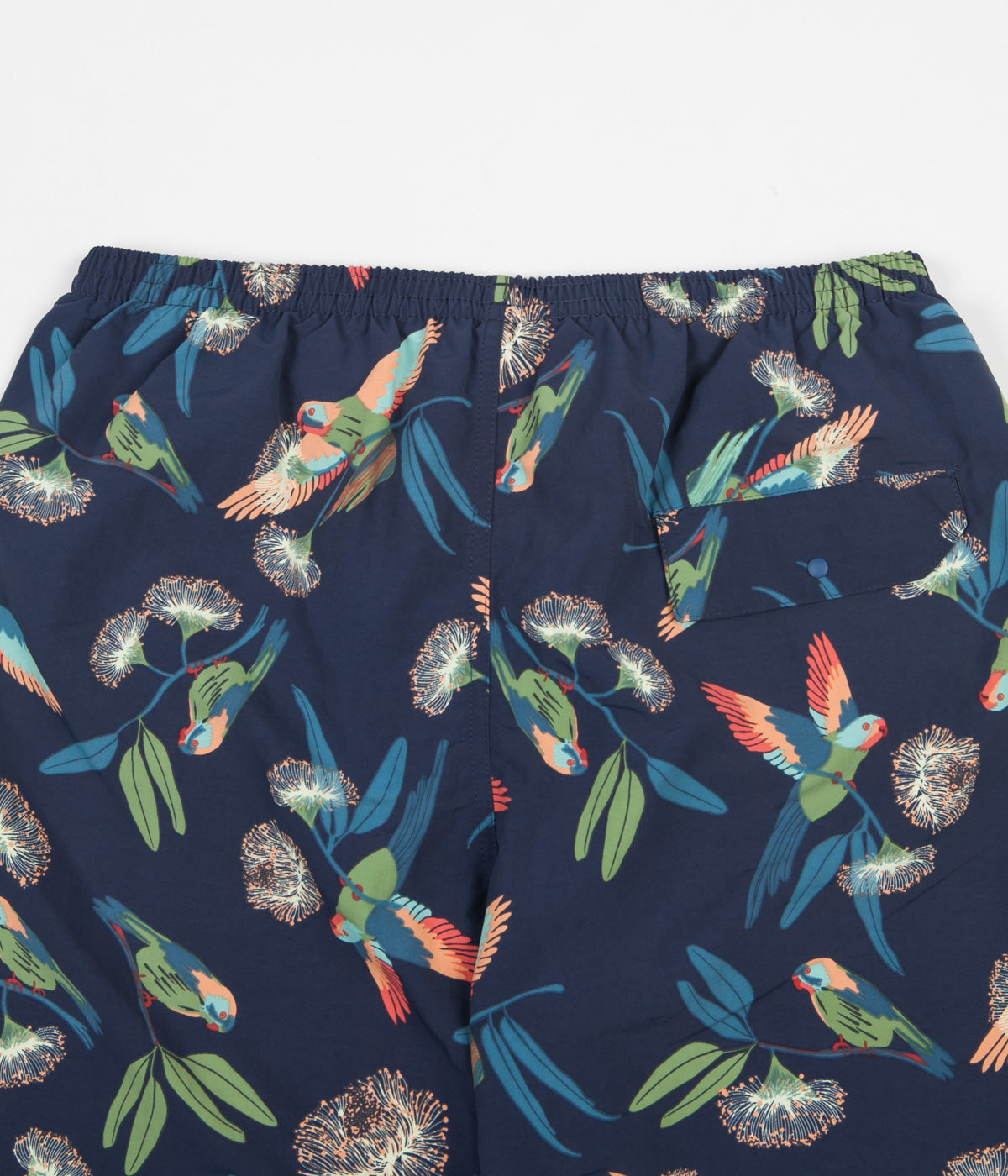 Patagonia parrot clearance shorts