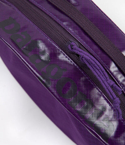 Patagonia Black Hole Cube 2L - Purple