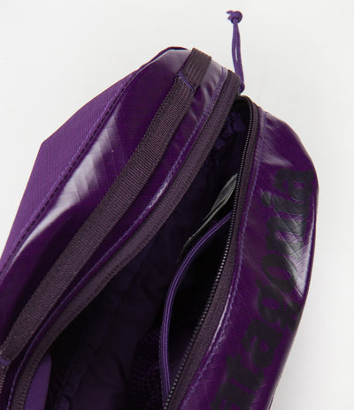 Patagonia Black Hole Cube 2L - Purple