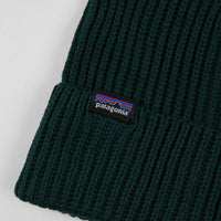 Patagonia Fisherman's Rolled Beanie - Piki Green thumbnail
