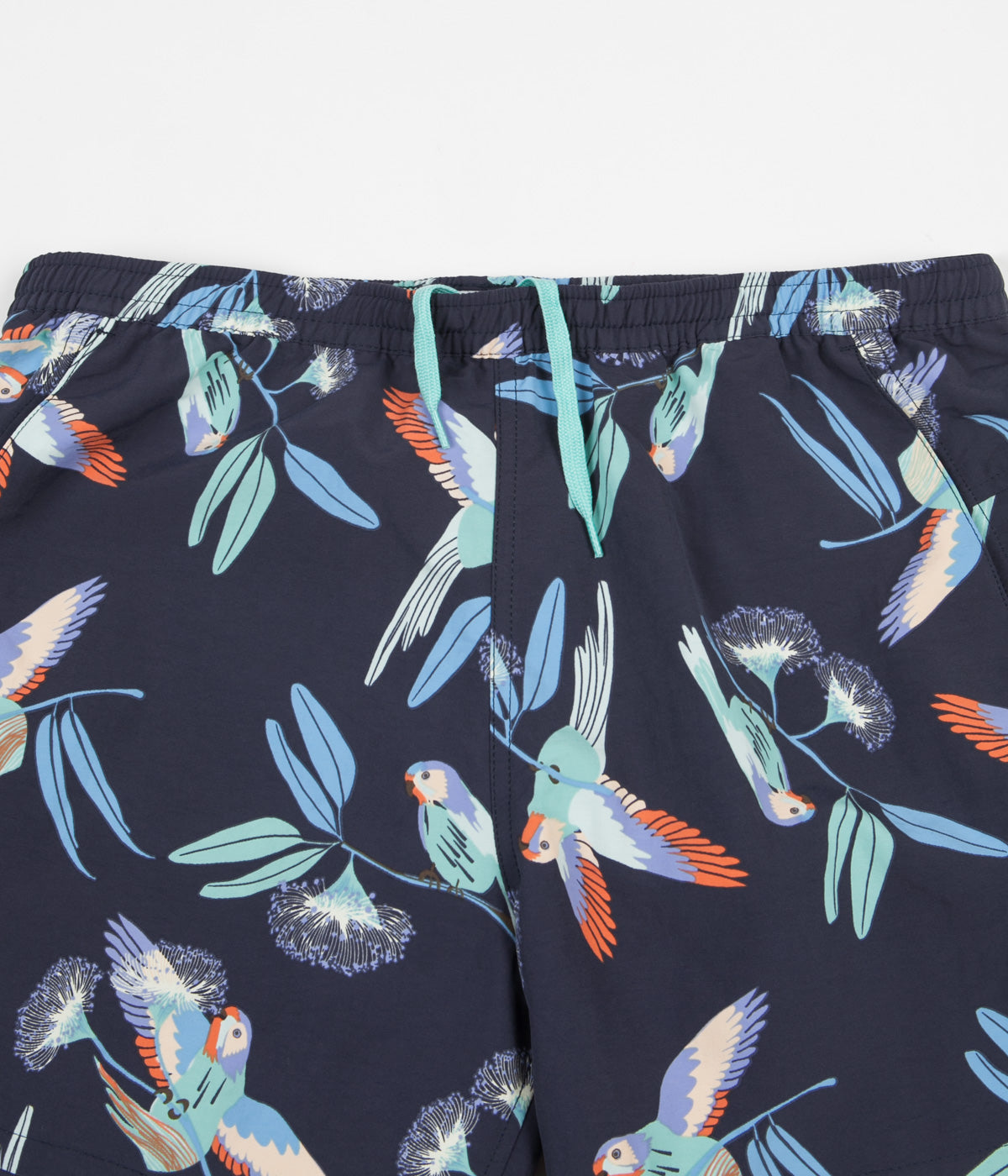 Patagonia baggies parrot online
