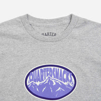 Quartersnacks Mountain Long Sleeve T-Shirt - Grey thumbnail